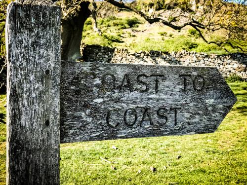 20200506_155939076_iOS-1.jpg_1588792229